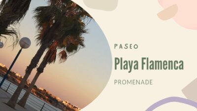 Playa Flamenca, Property Management Torrevieja