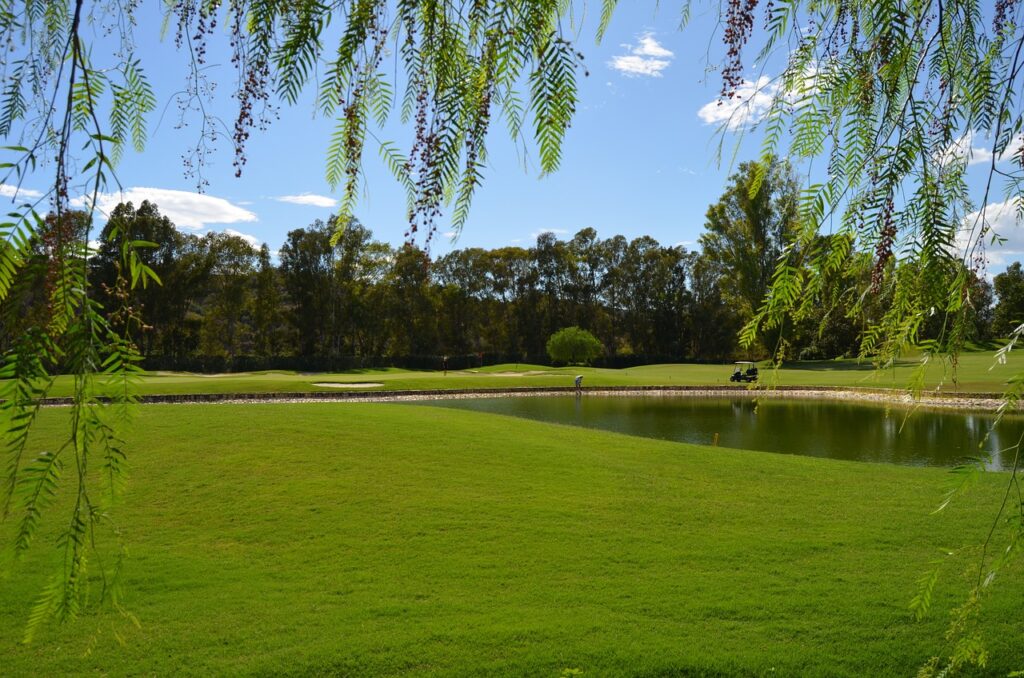 golf lilypad properties spain (7)