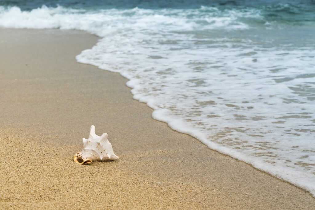 Property Management Torrevieja