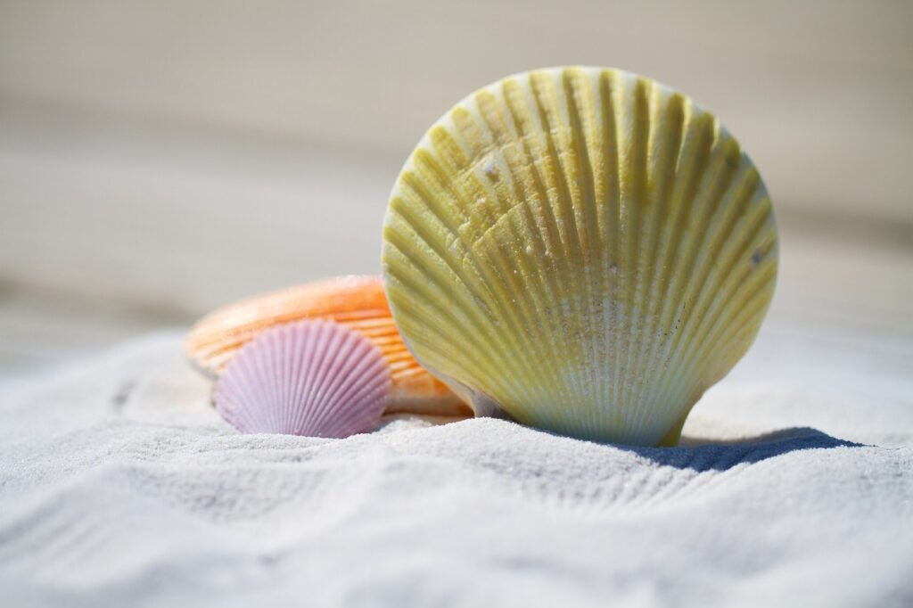 Property Management Torrevieja